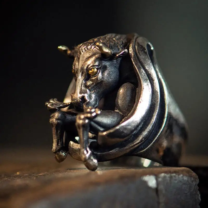 Retro Punk Rings